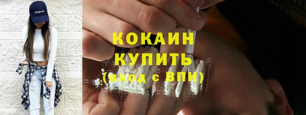 стафф Алексин