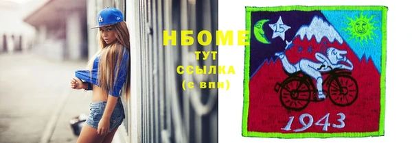 стафф Алексин