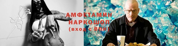 стафф Алексин