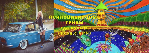 PSILOCYBIN Алзамай
