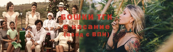 PSILOCYBIN Алзамай