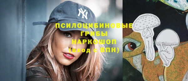 PSILOCYBIN Алзамай