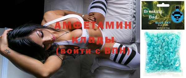 PSILOCYBIN Алзамай